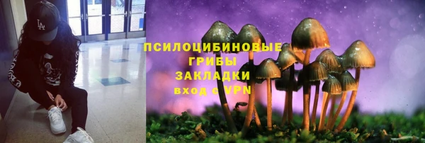ешки Алексеевка